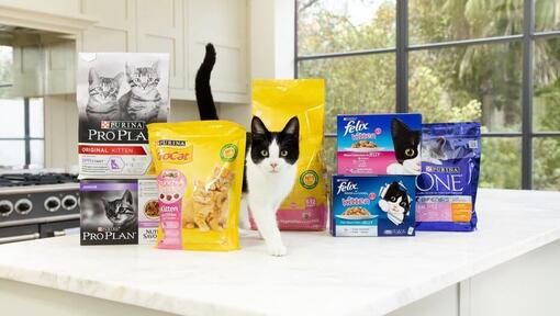 Cat Feeding Guide How Much Should I Feed My Cat Purina